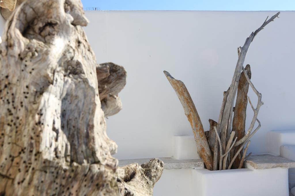 Bed and Breakfast Portadamare Trani Exterior foto